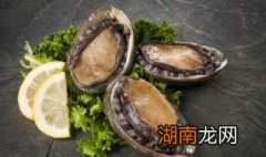 清蒸鲍鱼一般蒸几分钟 清蒸鲍鱼