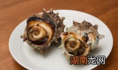 海螺开锅后蒸几分钟就可以了 海螺清蒸还是水煮好