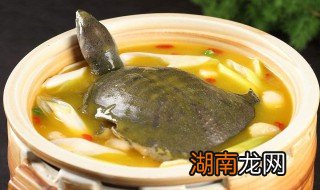清蒸甲鱼最正宗的做法 清蒸甲鱼最正宗的做法大全