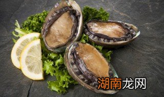 清蒸鲍鱼的做法家常做法 怎么做清蒸鲍鱼