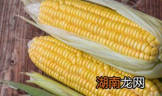 怎样做全家爱吃的玉米饼呢 怎样做全家爱吃的玉米饼呢窍门