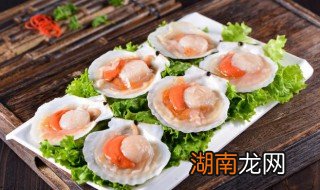 清蒸扇贝 清蒸扇贝需要多长时间