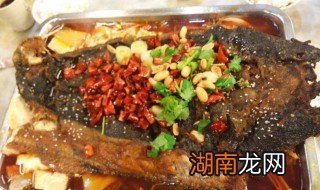 鲶鱼怎么做好吃四川视频 鲶鱼怎么做好吃四川