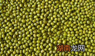 绿豆的功效作用与主治 绿豆的功效