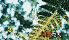 小暑节气吃啥好,讲究啥 小暑节气吃什么传统食物