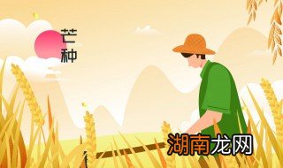 芒种节气吃什么传统食物 芒种节的风俗吃什么