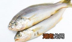 鱼怎么煮才鲜嫩做法 鱼怎么煮