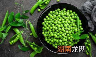 豌豆和蒜薹能放一起炒吗 豌豆可以同蒜苔一起炒吗