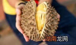 榴莲可以炖鸡吗视频 榴莲可以炖鸡吗