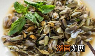 贝壳怎么做更好吃 贝壳怎么做好吃及方法
