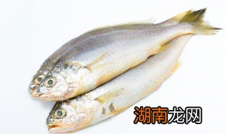 塘角鱼可以搭配什么食物煮 塘角鱼可以搭配什么食物煮汤