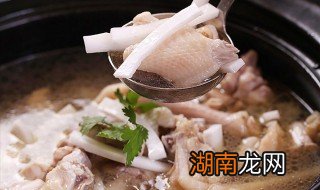 鸭子可以和椰子一起煲吗功效 鸭子可以和椰子一起煲吗