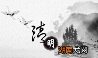 清明节美食介绍作文 清明节美食介绍