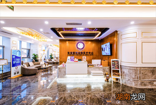 直击北京亚宠展现场：宠爱国际动物医院为何人气如此之高？