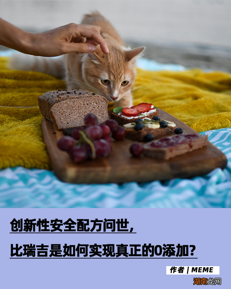 市场革新,比瑞吉率先发起“0添加”配方革命