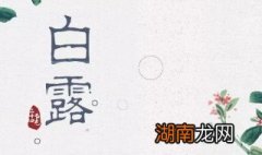 白露节气吃什么食物 白露节气吃什么食物最好