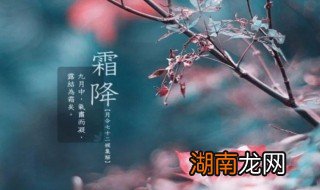 霜降节气吃什么 霜降节气吃什么最好