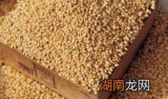 糙米怎么做 糙米怎么做饭好吃