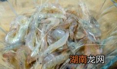 风干海虾保存方法 风干海虾怎么保存