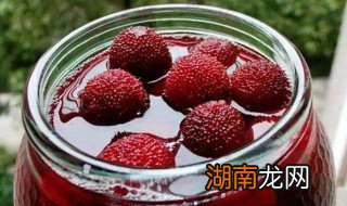 怎么保存杨梅酒 杨梅酒的保存