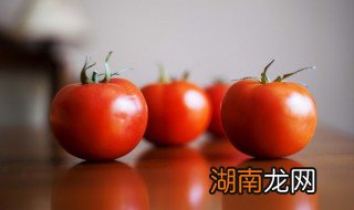 夏季西红柿怎么储存