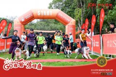 “校园喵拆蛋行动”初亮相，皇家携手京东健康提升流浪犬猫福祉