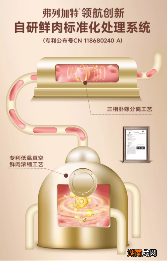 自主创新研发 弗列加特新理念新品系发布会召开