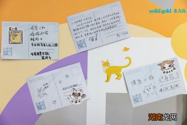 「交个萌友 被爱绒化」中国人民大学公益首站启动!Solid Gold素力高携手各大高校倡导共建人宠和谐校园