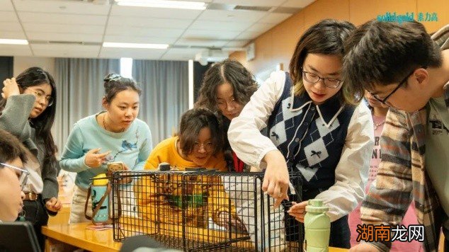 「交个萌友 被爱绒化」中国人民大学公益首站启动!Solid Gold素力高携手各大高校倡导共建人宠和谐校园