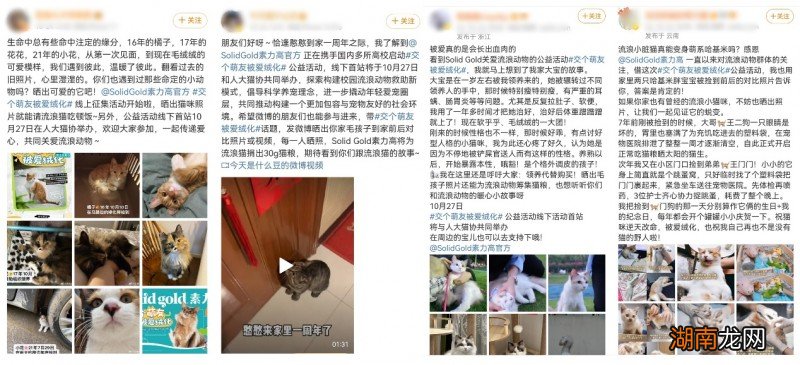 「交个萌友 被爱绒化」中国人民大学公益首站启动!Solid Gold素力高携手各大高校倡导共建人宠和谐校园