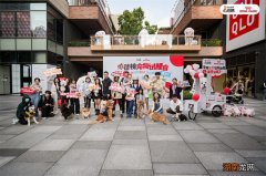 携宠同行，乐享六城：皇家携手大众点评“必住榜”共绘宠物友好新蓝图