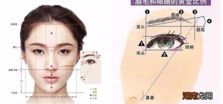 面相女生眉毛又浓又黑好吗 女生眉毛浓好还是淡好