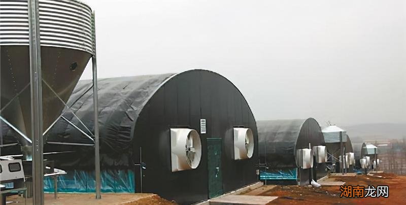 一亩蔬菜大棚利润多少 大棚蔬菜种植一亩一年能收入多少钱