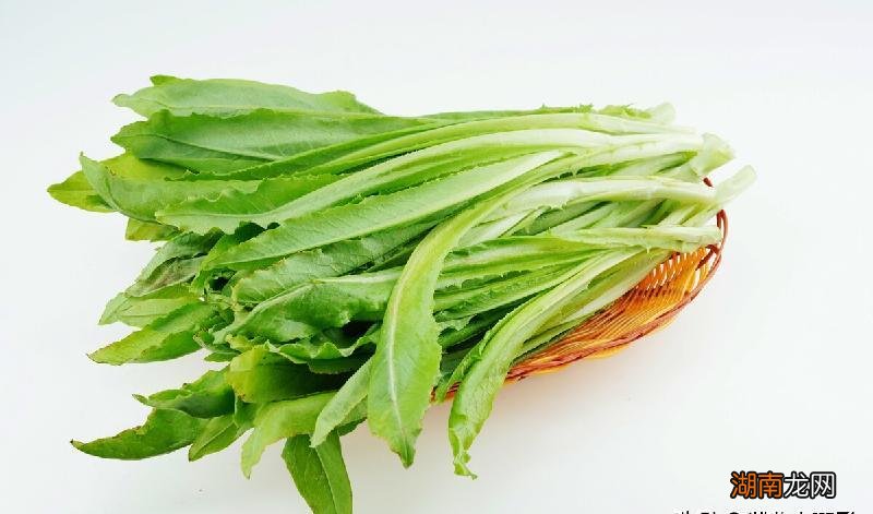 营养高的蔬菜排行榜 十大最有营养的蔬菜排名