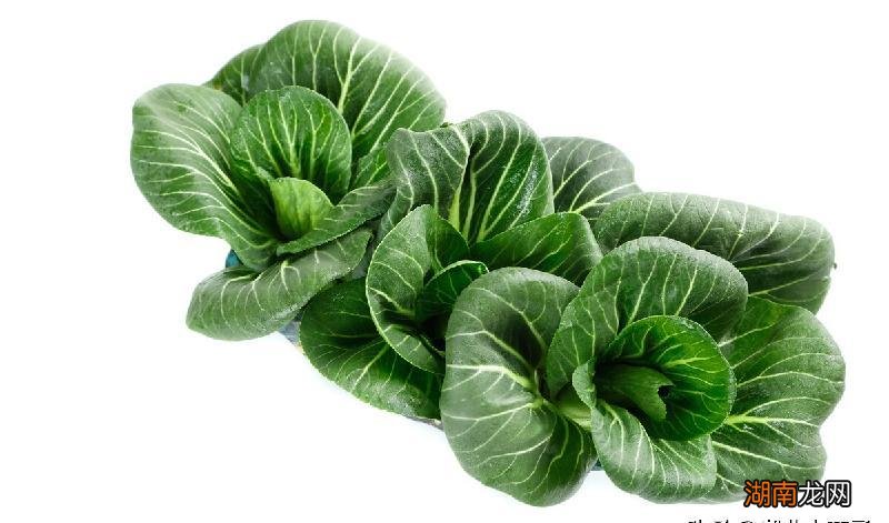 营养高的蔬菜排行榜 十大最有营养的蔬菜排名