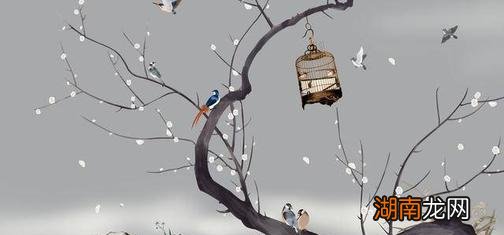 唐代韦应物的生平简介 韦应物是哪个朝代的诗人