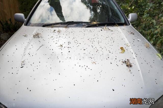 长时间停地下库对车有影响 车子停在地面和地库哪个损耗大