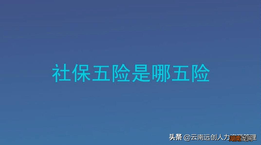 职工三险和五险的差别是什么 三险和五险有什么区别
