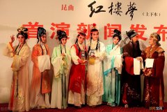 红楼梦内容思维导图 红楼梦关系树状清晰图