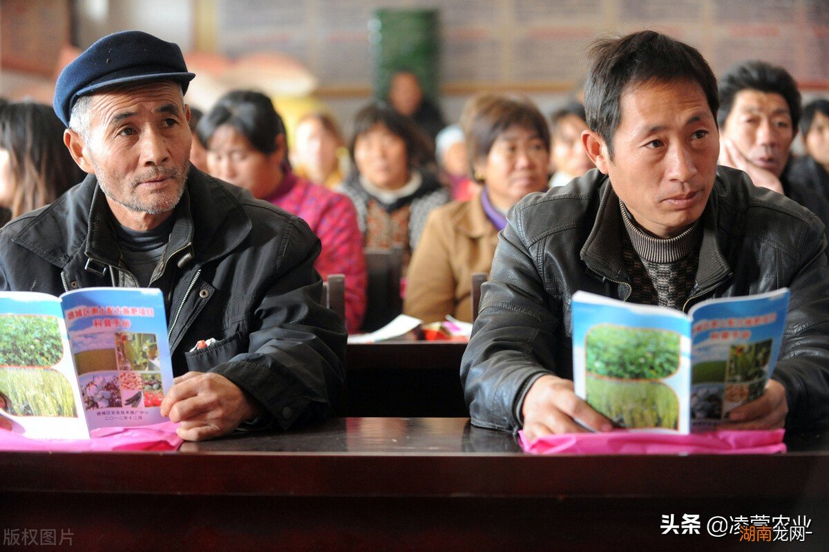 农业合作社是做什么的 合作社属于什么性质的企业