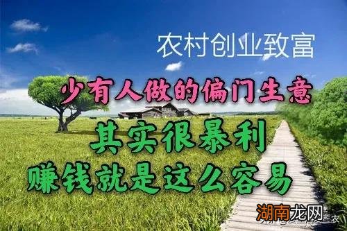 非常赚钱的偏门生意有哪些 穷疯了快速挣钱的偏门