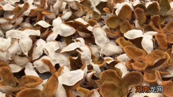 陈皮是怎么制作出来的 陈皮怎么制作最好