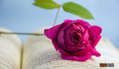 细节看出已婚男人喜欢你 一个已婚男人爱上一个已婚女人的表现