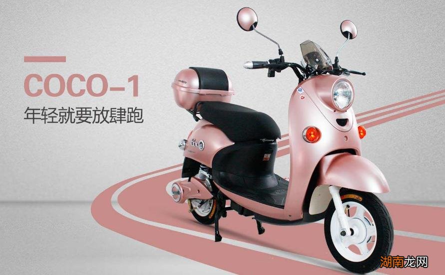 十大名牌电动车排行榜 电动车排名前十名有哪几个