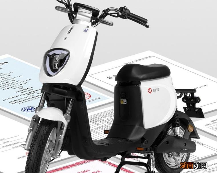 十大名牌电动车排行榜 电动车排名前十名有哪几个