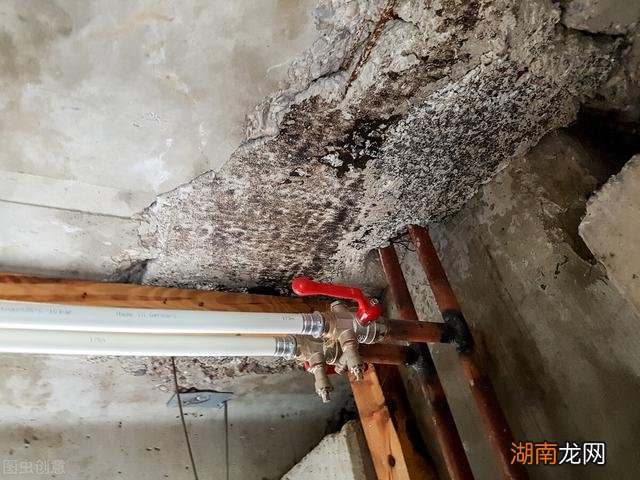 如果顶楼与二楼你怎么选择 买房只剩二楼和顶楼买哪个