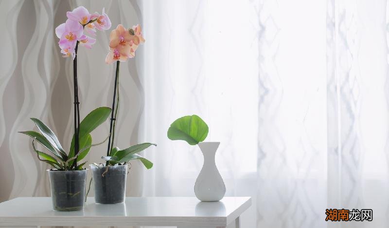 男人真正喜欢你的表现 一个男人真心想追你的表现