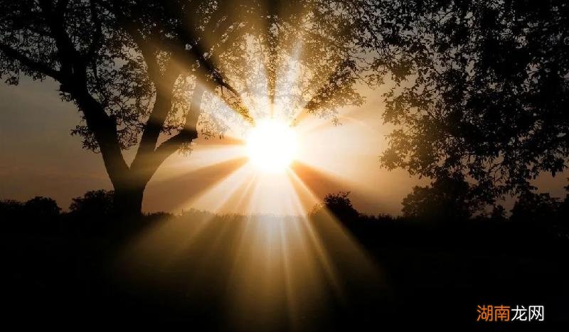 爱上不能在一起的人怎么处理 爱上一个不该爱的人怎么办