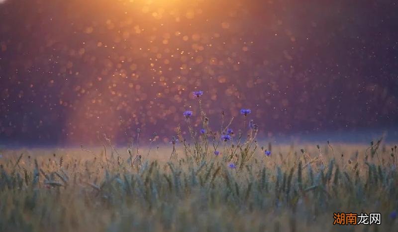 爱上不能在一起的人怎么处理 爱上一个不该爱的人怎么办