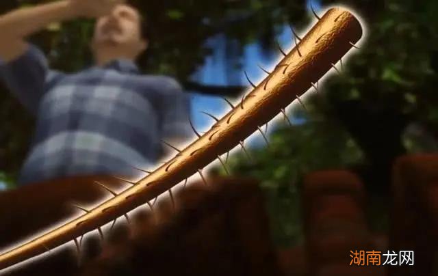 体型最大的蜘蛛有多大 世界上最大的蜘蛛叫什么名字